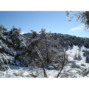 Photo France Route de Coursegoule à Gréolières les neiges 2007-01 49