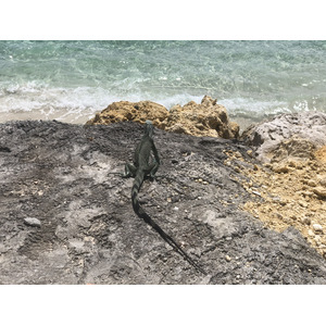 Photo Guadeloupe Saint François 2021-02 2