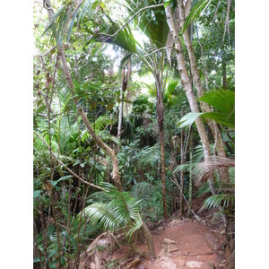 Photo Seychelles Vallée de Mai 2011-10 75