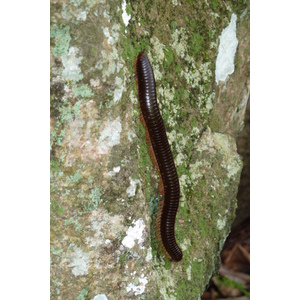 Photo Seychelles 2011-10 107