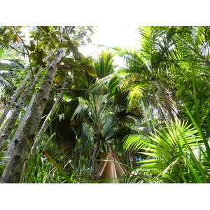 Photo Seychelles 2011-10 27