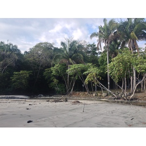 Photo Costa Rica Parc Manuel Antonio 2015-03 94