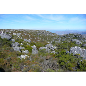 Photo Afrique du Sud Le Cap Montagne de la table 2008-09 39