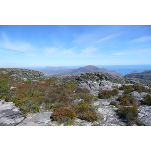 Photo Afrique du Sud Le Cap Montagne de la table 2008-09 27
