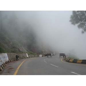 Photo Pakistan Murree 2006-08 162