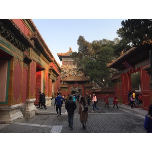 Photo Chine Pékin Cité Interdite 2015-12 178