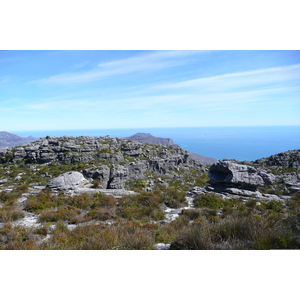 Photo Afrique du Sud Le Cap Montagne de la table 2008-09 84