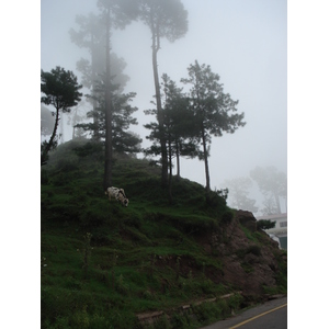 Photo Pakistan Murree 2006-08 145