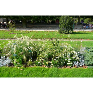 Photo France Paris Jardin des Plantes 2007-08 157