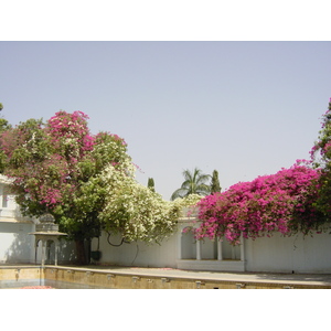 Photo Inde Udaipur 2003-05 33