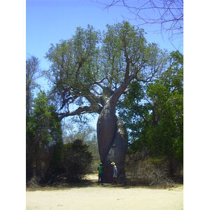 Photo Madagascar Morondava 1999-10 0