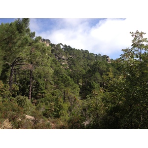 Photo France Corse Forêt de l'Ospedale 2012-09 15