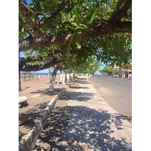 Photo Costa Rica Puntarenas 2015-03 30