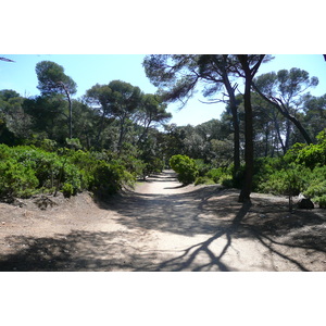 Photo France Ile de Porquerolles Pointe du Lequin 2008-05 71