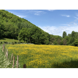 Photo France Floirac 2018-04 87