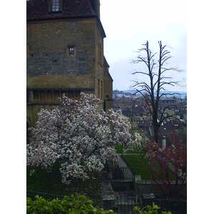 Photo Suisse Neuchatel 1999-04 1