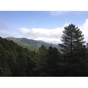 Photo France Corse Forêt de l'Ospedale 2012-09 3