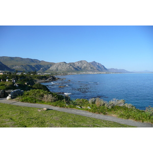 Photo Afrique du Sud Harmanus 2008-09 111