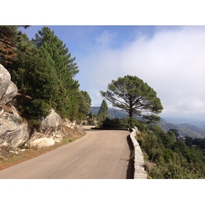 Photo France Corse Forêt de l'Ospedale 2012-09 14