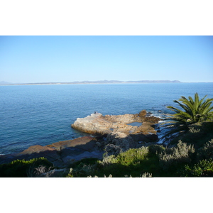 Photo Afrique du Sud Harmanus 2008-09 130