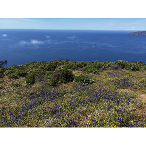 Photo France Corse Capo Rosso 2023-05 19