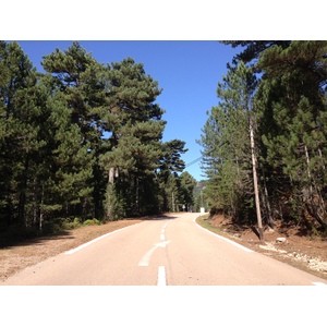 Photo France Corse Forêt de l'Ospedale 2012-09 34