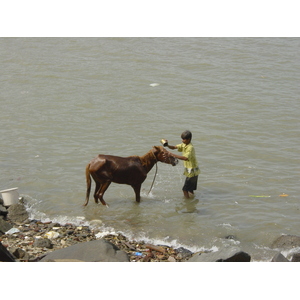 Photo Inde 2003-05 24