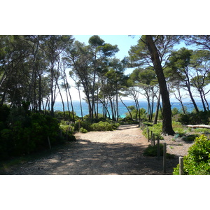 Photo France Ile de Porquerolles Pointe du Lequin 2008-05 67