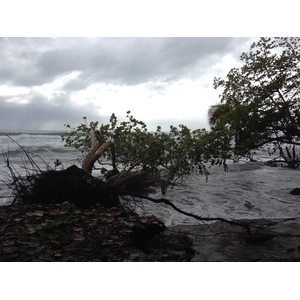 Photo Costa Rica Cahuita 2015-03 172