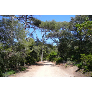 Photo France Ile de Porquerolles Plaine de la courtade 2008-05 37