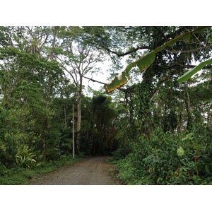 Photo Costa Rica Cahuita 2015-03 87