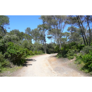 Photo France Ile de Porquerolles Plaine de la courtade 2008-05 20