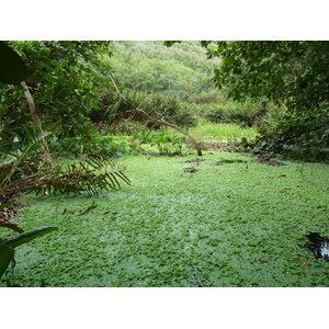 Photo Seychelles La Digue 2011-10 120