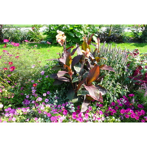 Photo France Paris Jardin des Plantes 2007-08 224