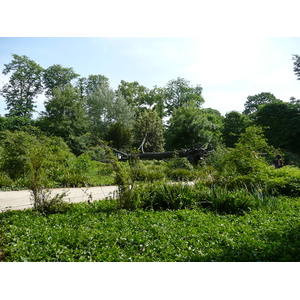 Photo France Paris Jardin des Tuileries 2007-05 10