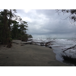 Photo Costa Rica Cahuita 2015-03 162