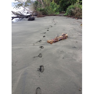 Photo Costa Rica Cahuita 2015-03 174