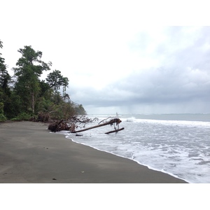 Photo Costa Rica Cahuita 2015-03 171