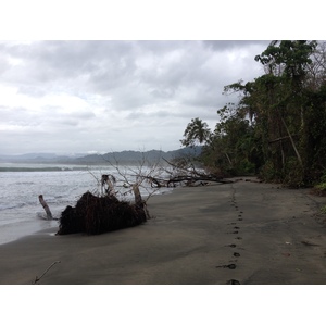 Photo Costa Rica Cahuita 2015-03 146