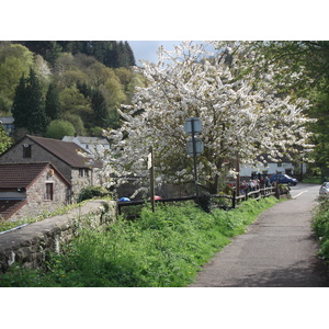 Photo Royaume-Uni Tintern 2006-05 15