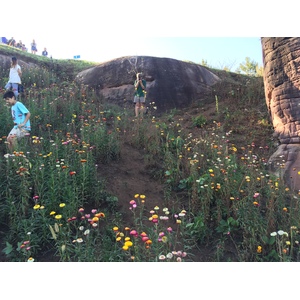 Photo Thaïlande Parc National Phu Hin Rong Kla 2014-12 319
