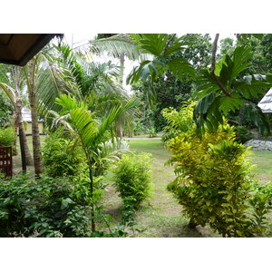 Photo Îles Fidji Amunuca Island Resort 2010-05 60
