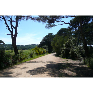 Photo France Ile de Porquerolles Plaine de la courtade 2008-05 16