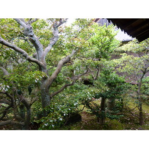 Photo Japon Kyoto résidence impériale Ninna ji 2010-06 78
