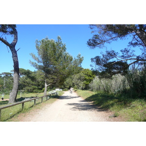 Photo France Ile de Porquerolles Plaine de la courtade 2008-05 3
