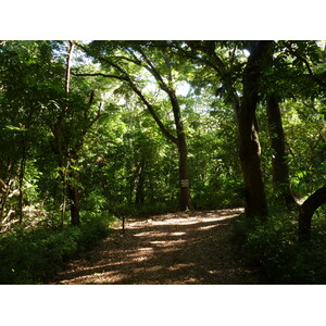 Photo Îles Fidji Parc des dunes de Sigatoka 2010-05 8