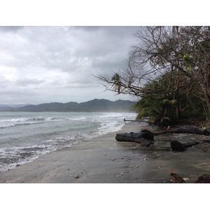 Photo Costa Rica Cahuita 2015-03 125