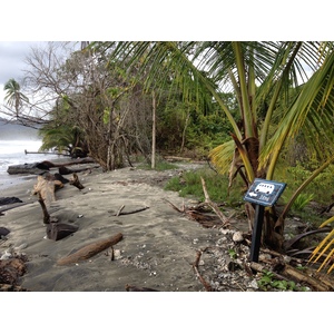 Photo Costa Rica Cahuita 2015-03 160