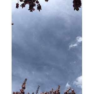 Photo France Parc de Sceaux 2019-04 59