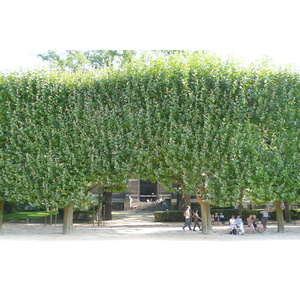 Photo France Paris Jardin des Plantes 2007-08 187